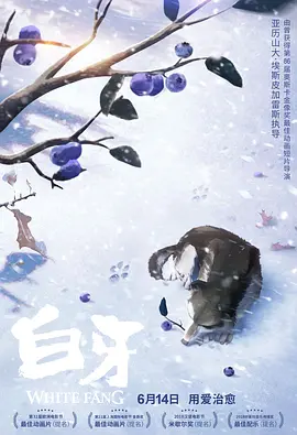 高清蓝光在线观看
