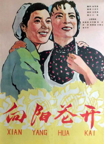 1080P高清完整版播放